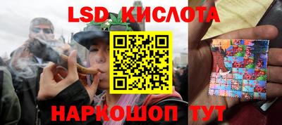 кокс Гатчина