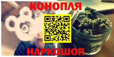 кокс Гатчина