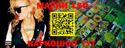 кокс Гатчина