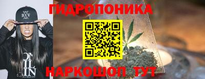 кокс Гатчина