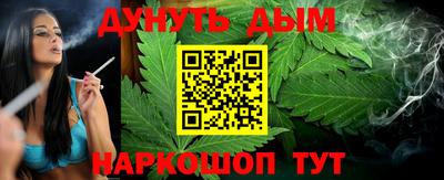 кокс Гатчина