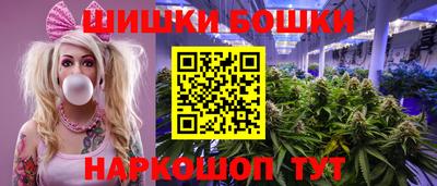кокс Гатчина