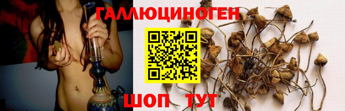 Псилоцибиновые грибы MAGIC MUSHROOMS  Вход с VPN  Грозный 