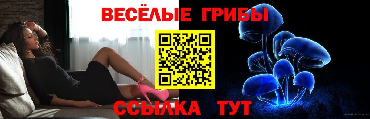 Галлюциногенные грибы Psilocybe Грозный